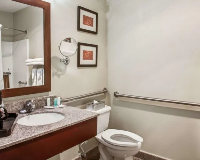 Comfort Suites Lombard - foto 4