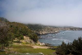 Timber Cove - photo 3