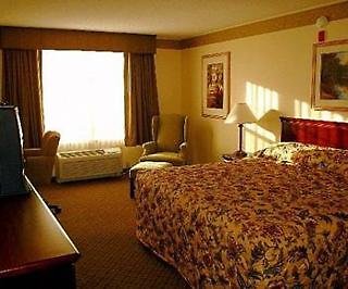 Courtyard by Marriott Denver Airport at Gateway Park - photo 2
