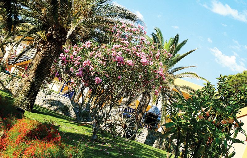 Zafiro Park Cala Mesquida - photo 1