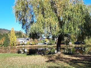 Landgasthof Ralinger Hof - photo 3