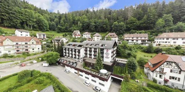 Schwarzwald-Pension Kräutle - foto 2