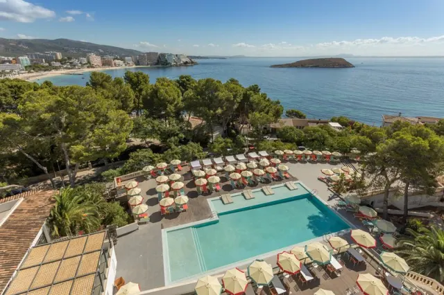 Alua Calvia - photo 2