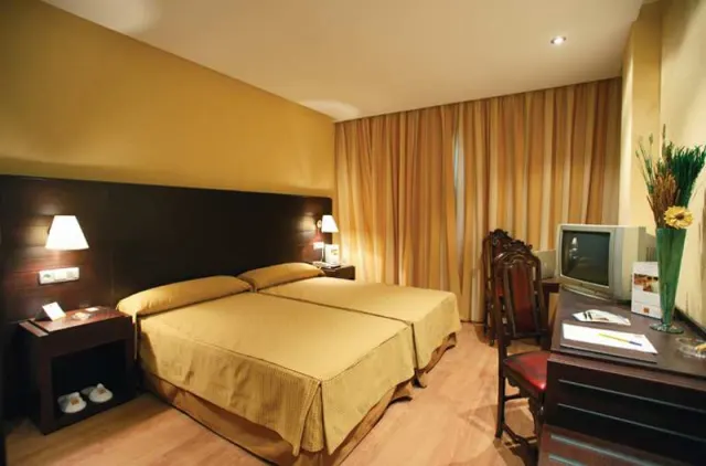Occidental Granada - foto 4