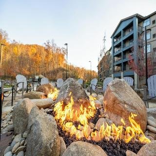 Dollywood's HeartSong Lodge & Resort - photo 4