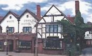 The White Swan - photo 2