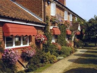 The Longham White Horse - photo 1