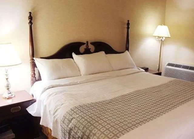 Econo Lodge City Centre Kingston - photo 4