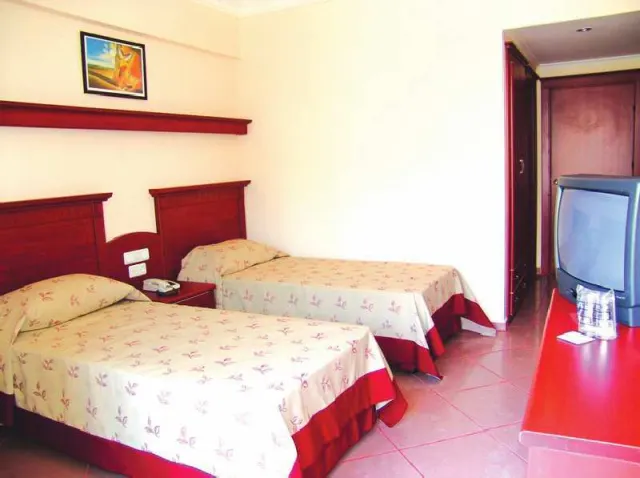 Wasa Hotel Alanya - photo 4