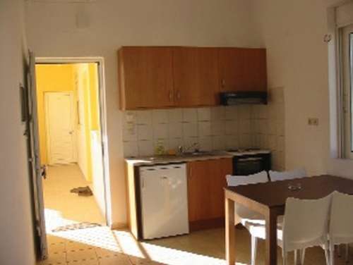 Monachus Monachus Apartments - photo 4