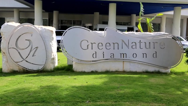Green Nature Diamond - foto 1