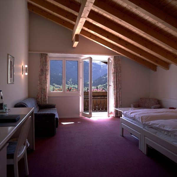 Hotel Steinmattli - photo 3