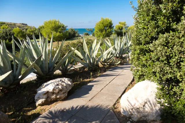 Gusmay Resort - photo 3