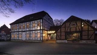 Hotel Alter Wolf - foto 3