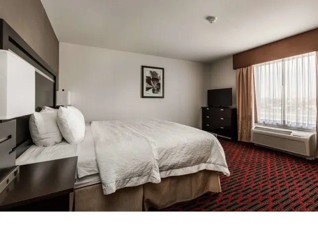 Holiday Inn Lethbridge - fotografija 4