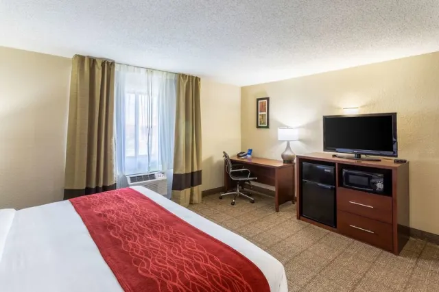 Comfort Inn - photo 4