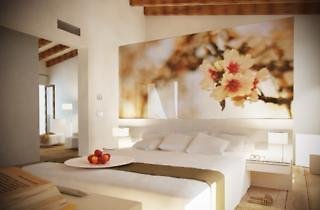Sa Franquesa Nova Hotel Rural - photo 1