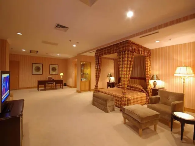 Landison Plaza International Hotel - photo 3