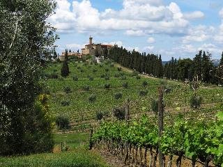 Castello Banfi Il Borgo - foto 3