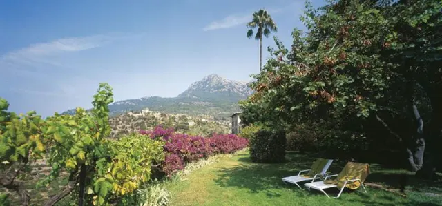 Hotel Es Molí - photo 3