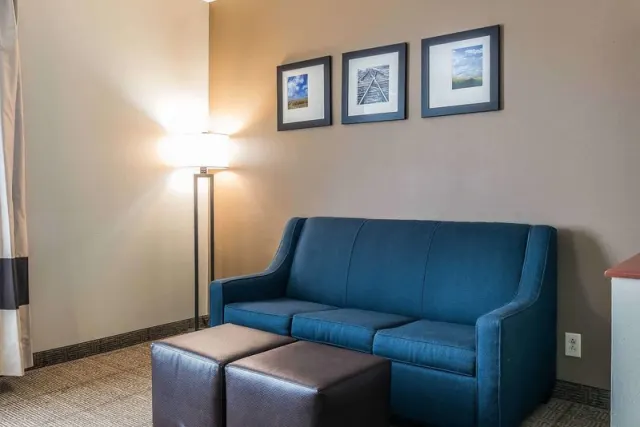 Comfort Suites Springfield - 4. fotó