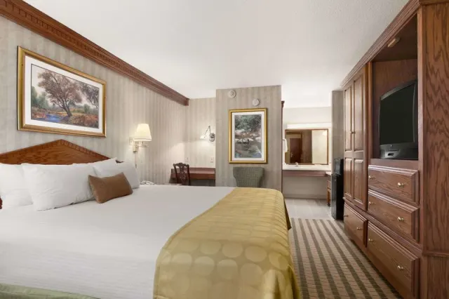 Ramada by Wyndham Saginaw Hotel  Suites - photo 3