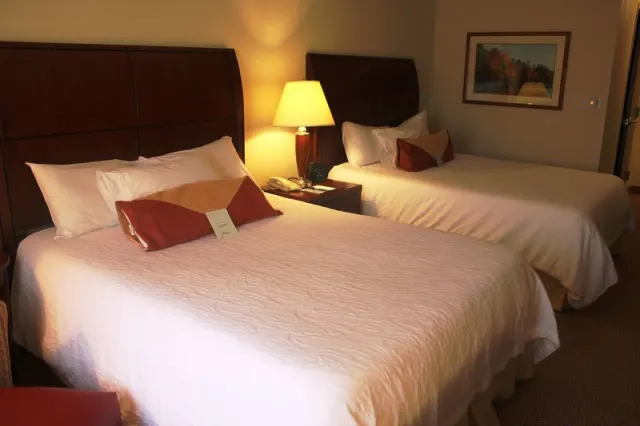 Hilton Garden Inn Starkville - photo 4