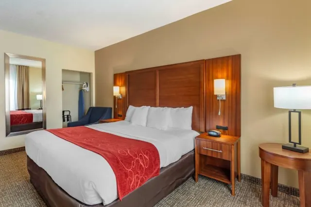 Comfort Suites Southaven I-55 - photo 4