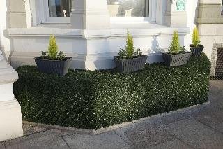 Hotel Halvard - photo 3