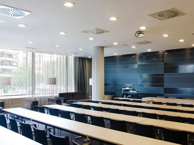 Eurostars Palace - photo 4