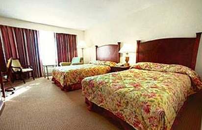 Hilton Boston Logan Airport - photo 3