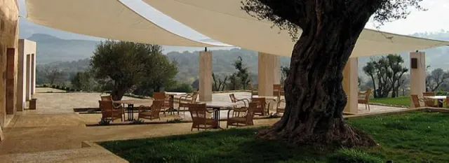 Son Penya - photo 4