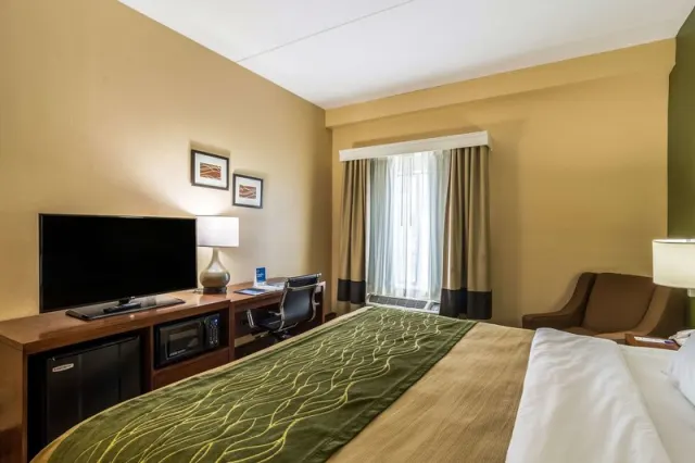 Comfort Inn & Suites Panama City - St Andrew - photo 3