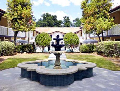 Motel 6 Tallahassee Fl North Monroe - photo 4