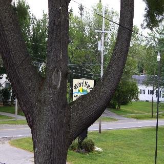 Milford Motel On The River - photo 3