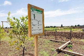 Casale Milocca - photo 4