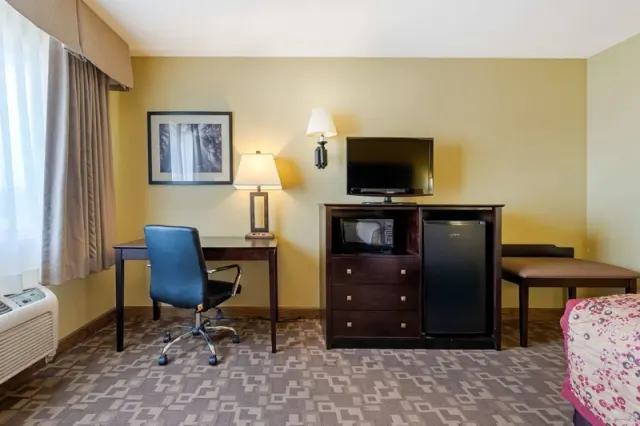 Best Western Blackfoot Inn - photo 4