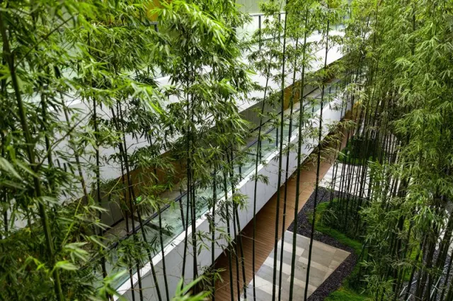 Meliá Chongqing - foto 4